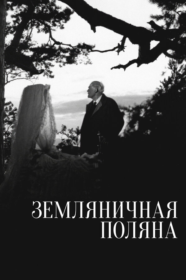 Земляничная поляна сериал 1957 смотреть онлайн бесплатно в хорошем качестве HD